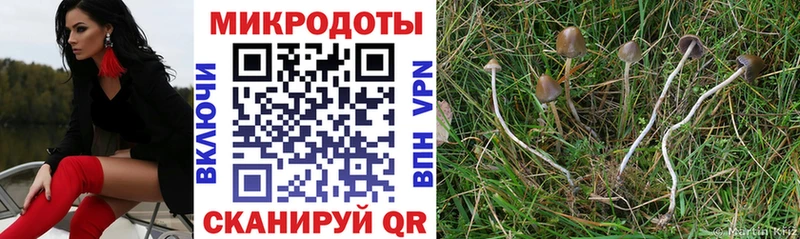 Псилоцибиновые грибы прущие грибы  omg tor  Чапаевск 